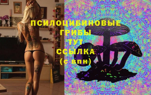 тгк Алексин