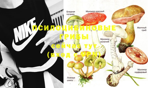 дмт Абдулино