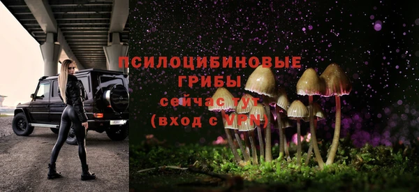 дмт Абдулино