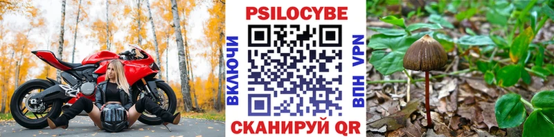 hydra маркетплейс  Шебекино  Галлюциногенные грибы мухоморы 